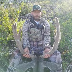 Meet your Posher, Sean